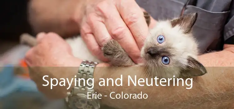 Spaying and Neutering Erie - Colorado