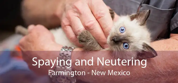 Spaying and Neutering Farmington - New Mexico