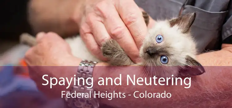 Spaying and Neutering Federal Heights - Colorado