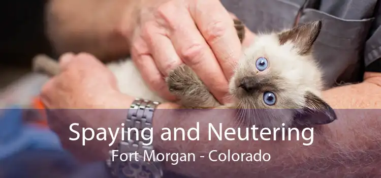 Spaying and Neutering Fort Morgan - Colorado