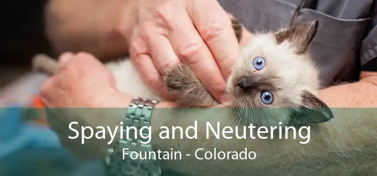 Spaying and Neutering Fountain - Colorado