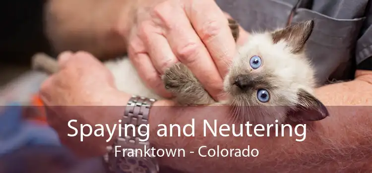 Spaying and Neutering Franktown - Colorado