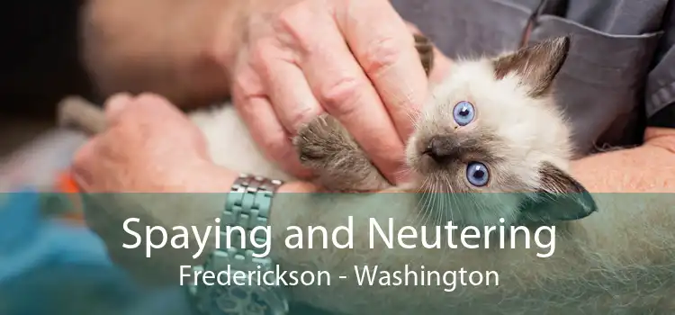 Spaying and Neutering Frederickson - Washington