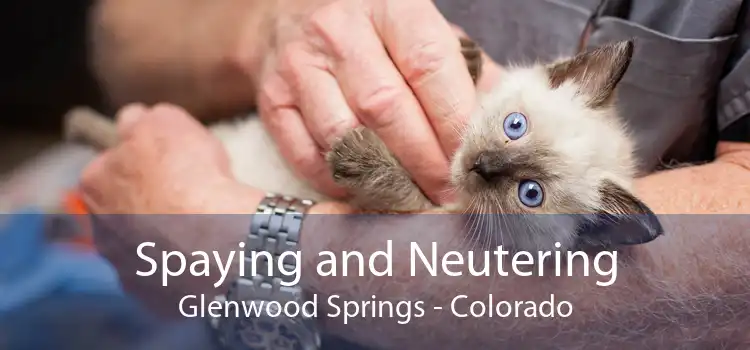 Spaying and Neutering Glenwood Springs - Colorado