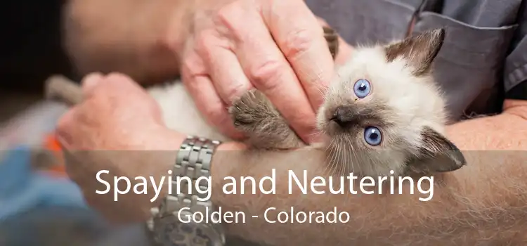 Spaying and Neutering Golden - Colorado