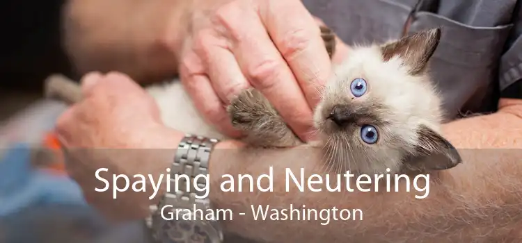Spaying and Neutering Graham - Washington