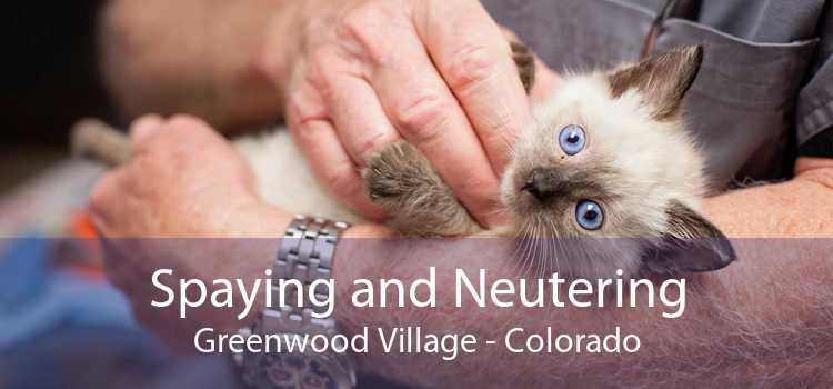 Spaying and Neutering Greenwood Village - Colorado