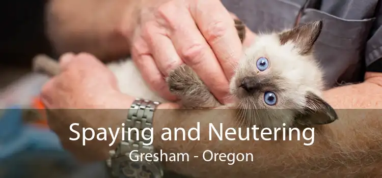 Spaying and Neutering Gresham - Oregon
