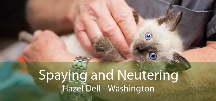 Spaying and Neutering Hazel Dell - Washington