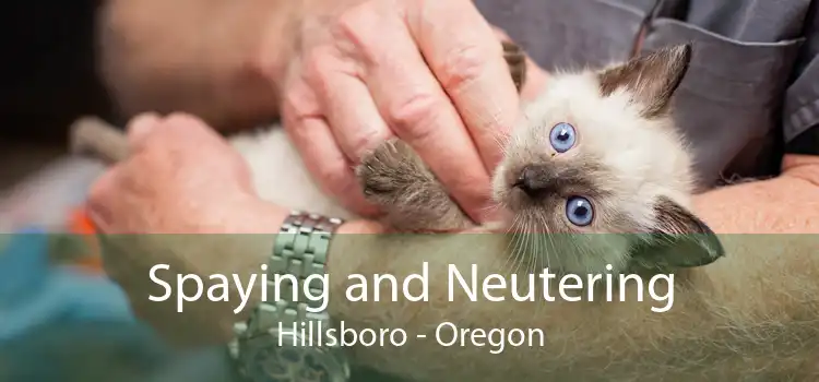 Spaying and Neutering Hillsboro - Oregon
