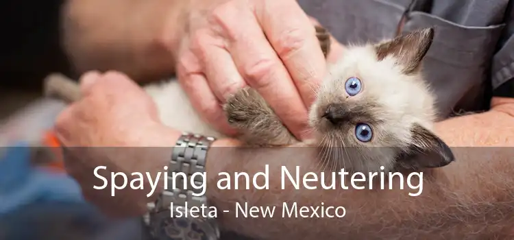 Spaying and Neutering Isleta - New Mexico