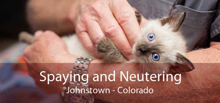 Spaying and Neutering Johnstown - Colorado