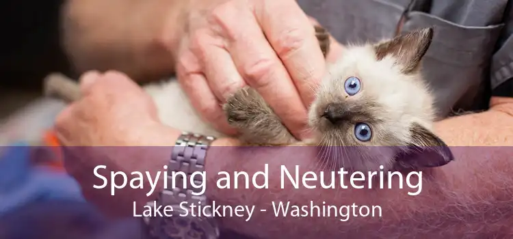 Spaying and Neutering Lake Stickney - Washington