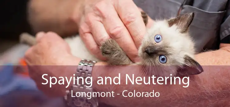 Spaying and Neutering Longmont - Colorado