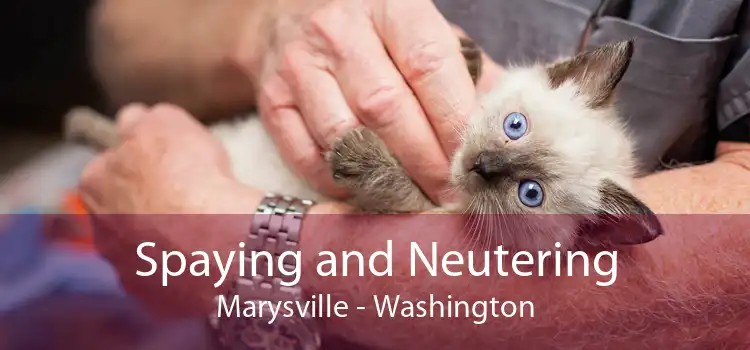Spaying and Neutering Marysville - Washington