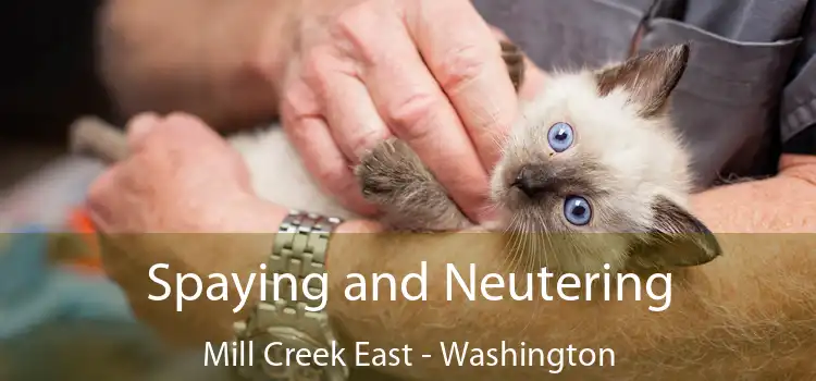 Spaying and Neutering Mill Creek East - Washington