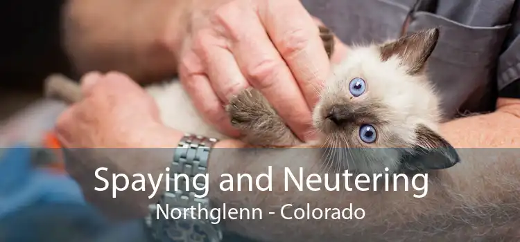 Spaying and Neutering Northglenn - Colorado