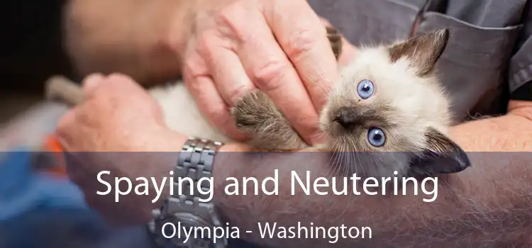 Spaying and Neutering Olympia - Washington