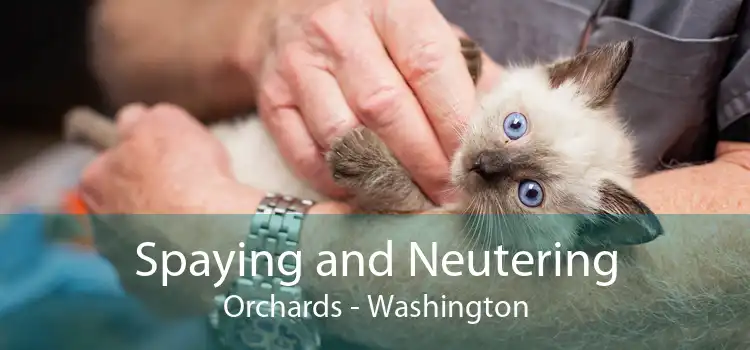 Spaying and Neutering Orchards - Washington