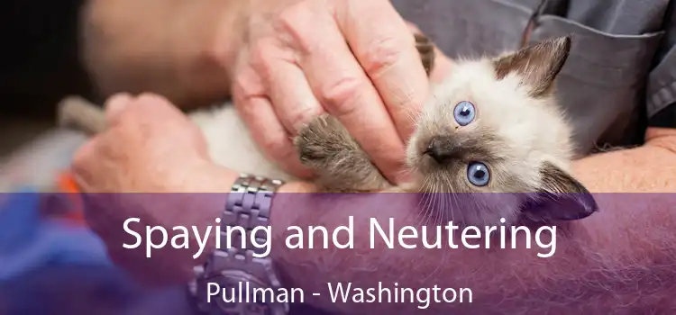 Spaying and Neutering Pullman - Washington
