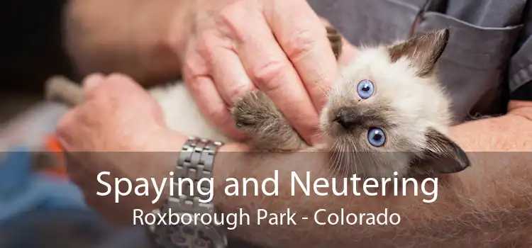 Spaying and Neutering Roxborough Park - Colorado