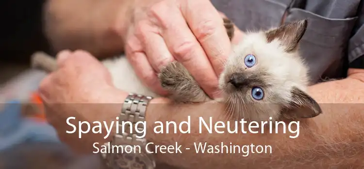 Spaying and Neutering Salmon Creek - Washington