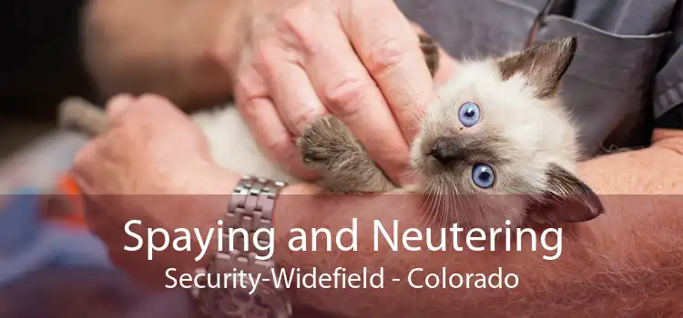 Spaying and Neutering Security-Widefield - Colorado