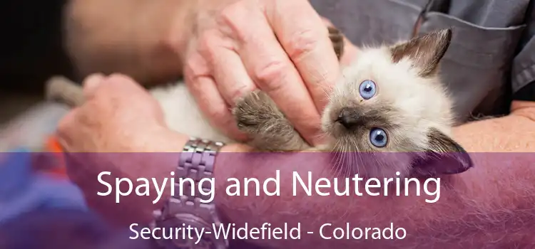 Spaying and Neutering Security-Widefield - Colorado