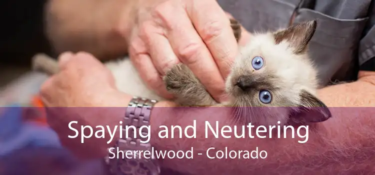 Spaying and Neutering Sherrelwood - Colorado