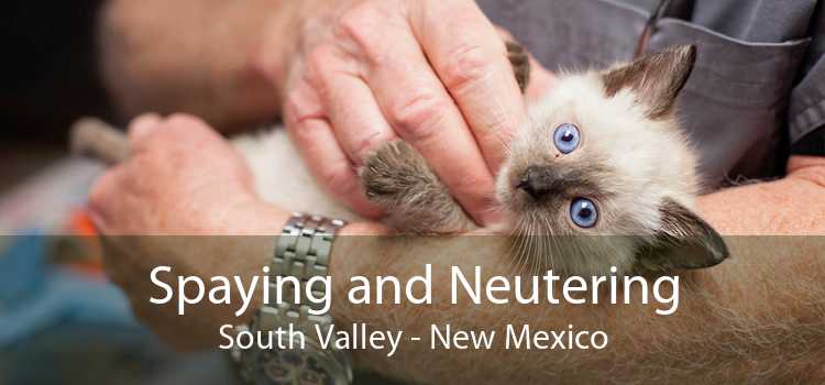 Spaying and Neutering South Valley - New Mexico