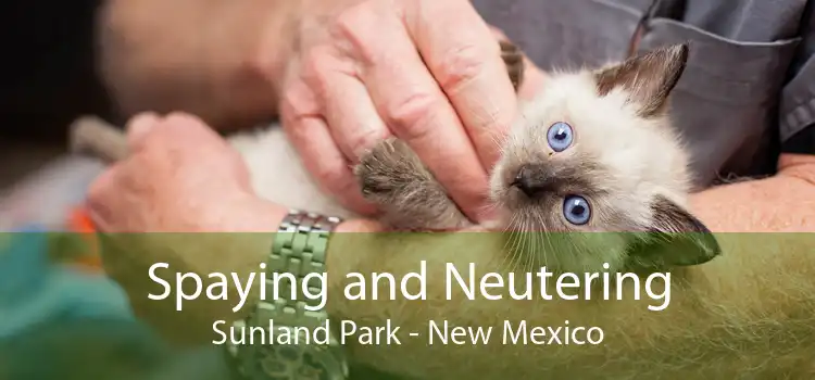Spaying and Neutering Sunland Park - New Mexico