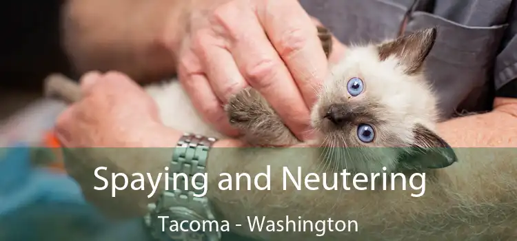 Spaying and Neutering Tacoma - Washington