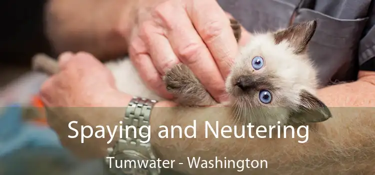 Spaying and Neutering Tumwater - Washington