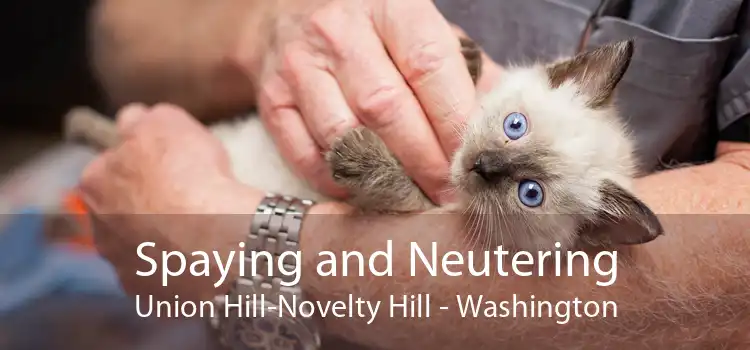 Spaying and Neutering Union Hill-Novelty Hill - Washington
