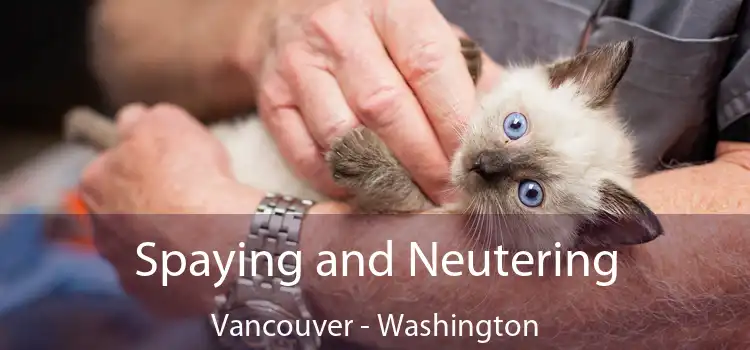 Spaying and Neutering Vancouver - Washington