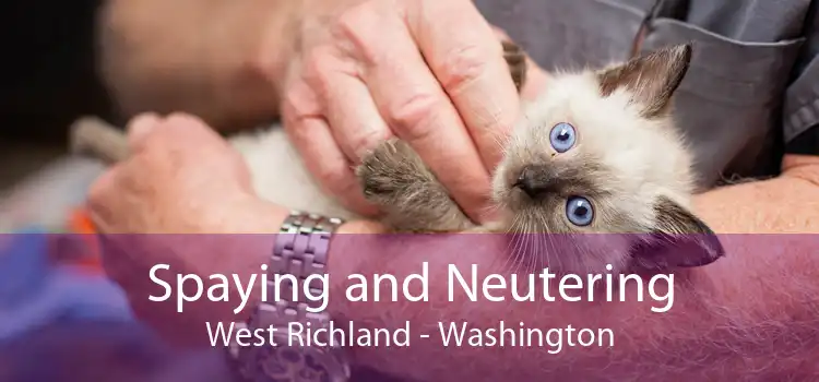 Spaying and Neutering West Richland - Washington