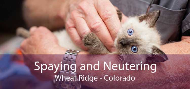 Spaying and Neutering Wheat Ridge - Colorado