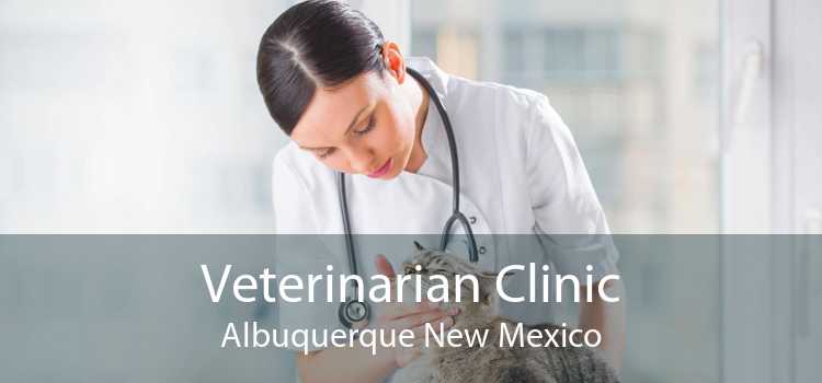 Veterinarian Clinic Albuquerque New Mexico