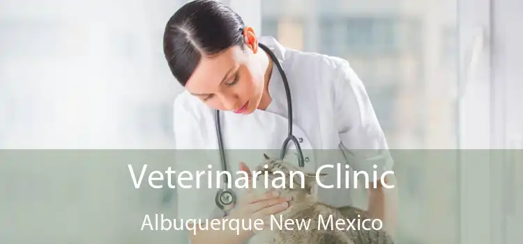 Veterinarian Clinic Albuquerque New Mexico