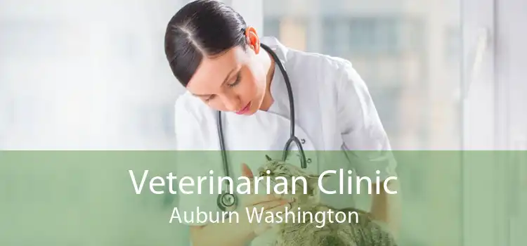 Veterinarian Clinic Auburn Washington