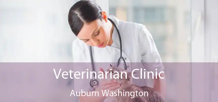 Veterinarian Clinic Auburn Washington
