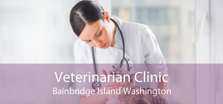 Veterinarian Clinic Bainbridge Island Washington