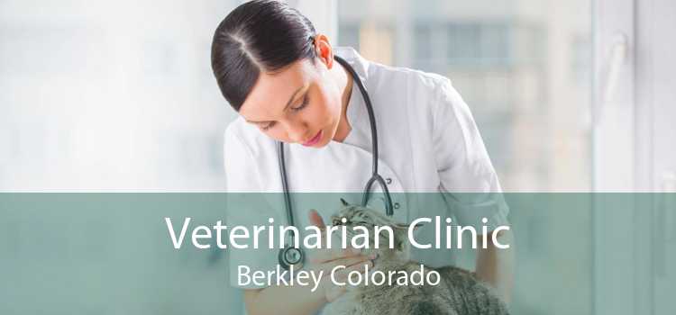 Veterinarian Clinic Berkley Colorado