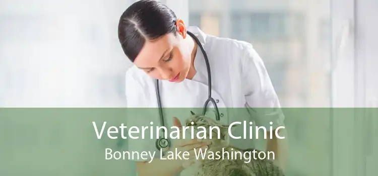 Veterinarian Clinic Bonney Lake Washington