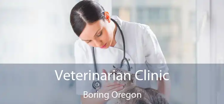 Veterinarian Clinic Boring Oregon