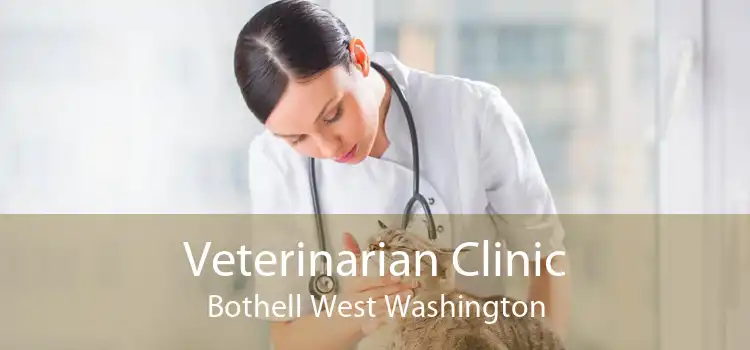 Veterinarian Clinic Bothell West Washington