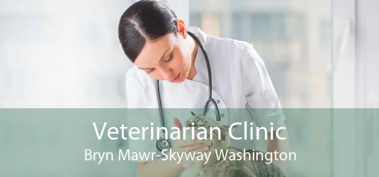 Veterinarian Clinic Bryn Mawr-Skyway Washington