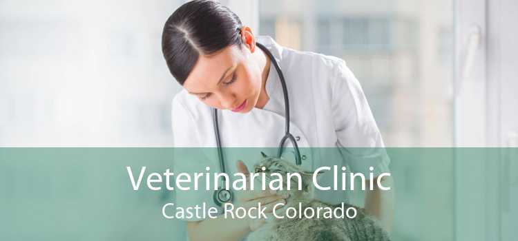 Veterinarian Clinic Castle Rock Colorado