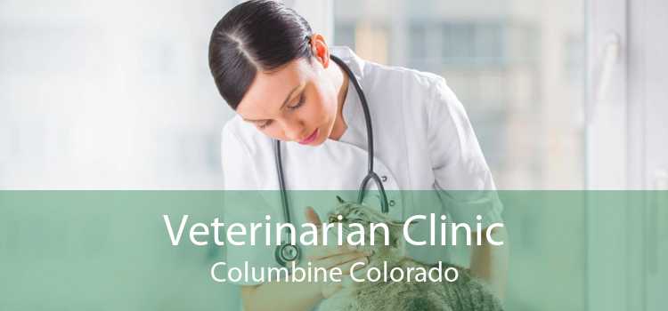 Veterinarian Clinic Columbine Colorado