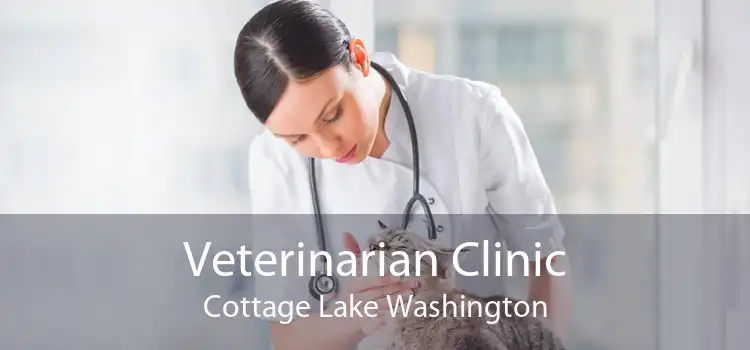 Veterinarian Clinic Cottage Lake Washington